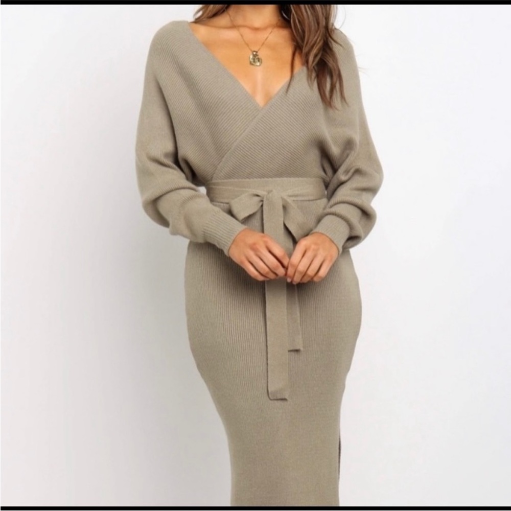 Petal & Pup Sweater Dress